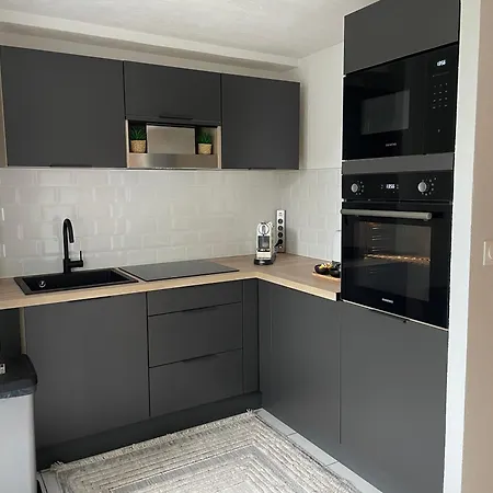 Appartement Le Palmier Colmar